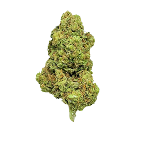 Amnesia Star