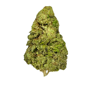 Oreoz Strain