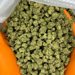 MINI BUDS INVERNADERO SOUR APPLE 30G