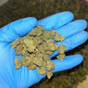 MINI BUDS INVERNADERO COOKIES ALTA CALIDAD 10G